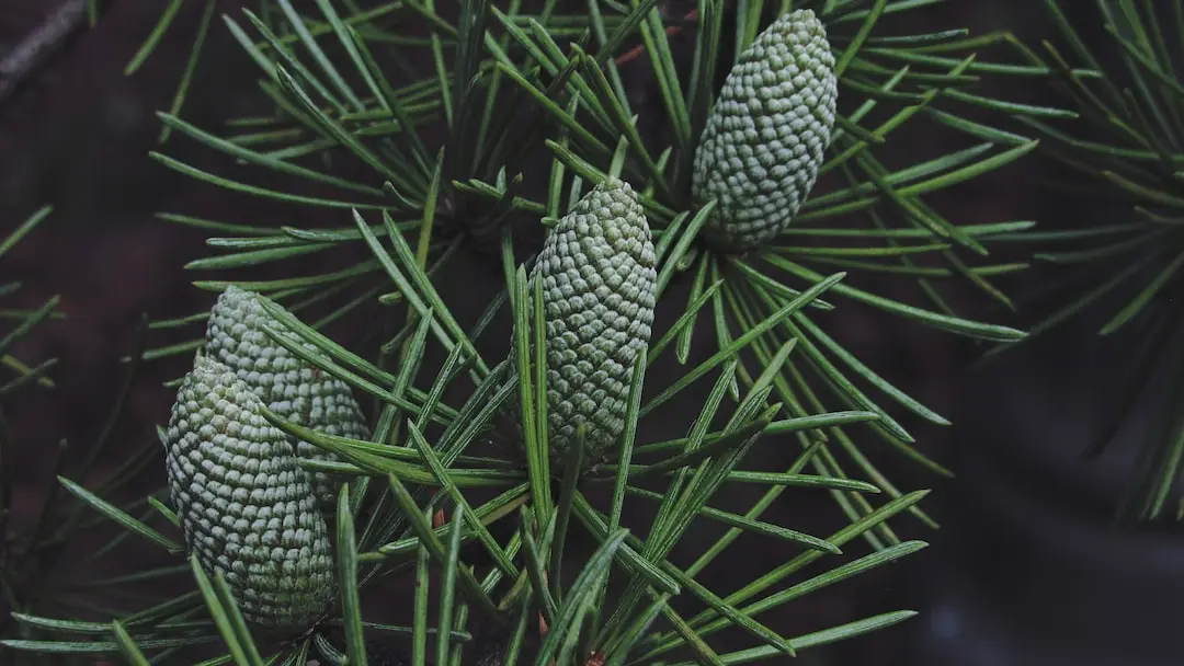 Den terapeutiska effekten av dagboksskrivande.